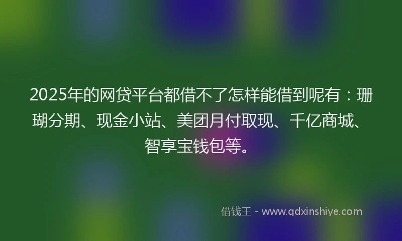 2025年的网贷平台都借不了怎样能借到呢有：珊瑚分期、现金小站、美团月付取现、千亿商城、智享宝钱包等。