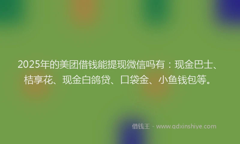 2025年的美团借钱能提现微信吗有：现金巴士、桔享花、现金白鸽贷、口袋金、小鱼钱包等。
