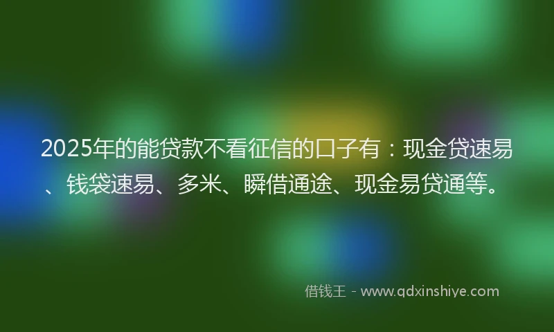 2025年的能贷款不看征信的口子有：现金贷速易、钱袋速易、多米、瞬借通途、现金易贷通等。