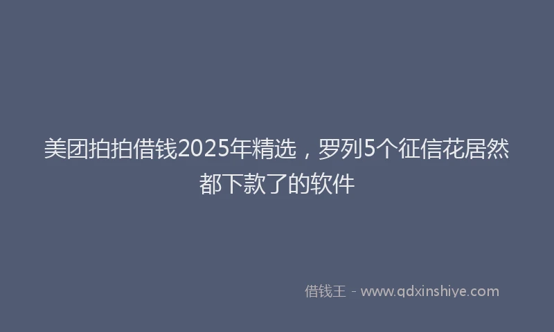 美团拍拍借钱2025年精选，罗列5个征信花居然都下款了的软件