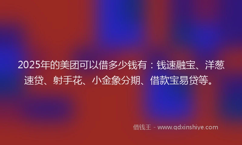 2025年的美团可以借多少钱有：钱速融宝、洋葱速贷、射手花、小金象分期、借款宝易贷等。