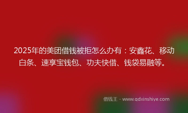 2025年的美团借钱被拒怎么办有：安鑫花、移动白条、速享宝钱包、功夫快借、钱袋易融等。