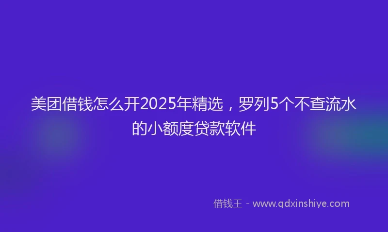 美团借钱怎么开2025年精选，罗列5个不查流水的小额度贷款软件