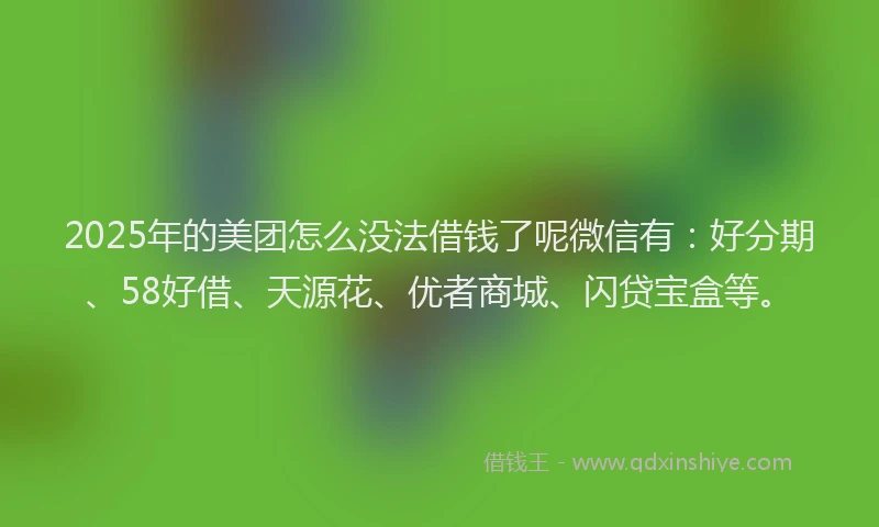 2025年的美团怎么没法借钱了呢微信有：好分期、58好借、天源花、优者商城、闪贷宝盒等。