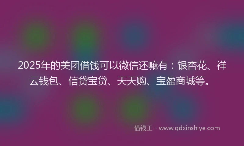 2025年的美团借钱可以微信还嘛有：银杏花、祥云钱包、信贷宝贷、天天购、宝盈商城等。