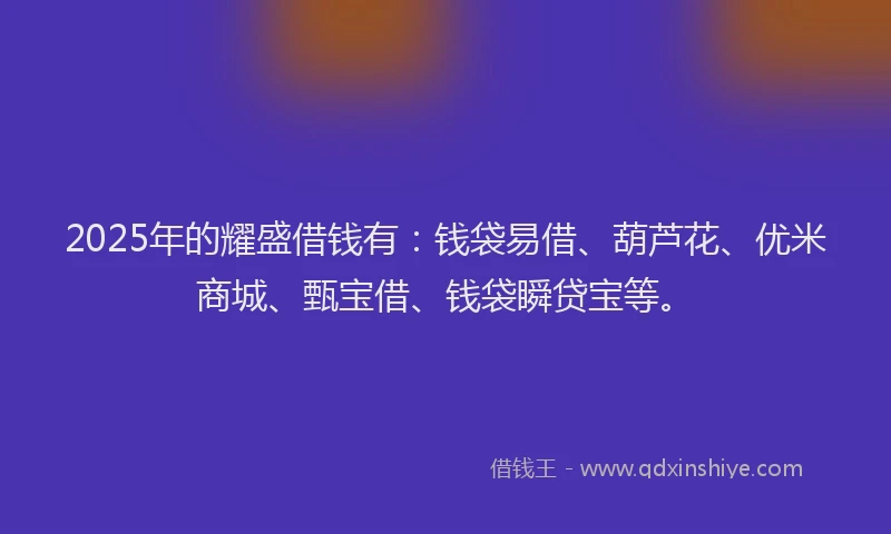 2025年的耀盛借钱有：钱袋易借、葫芦花、优米商城、甄宝借、钱袋瞬贷宝等。