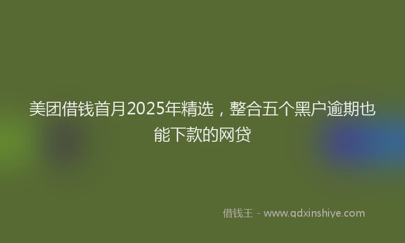 美团借钱首月2025年精选，整合五个黑户逾期也能下款的网贷