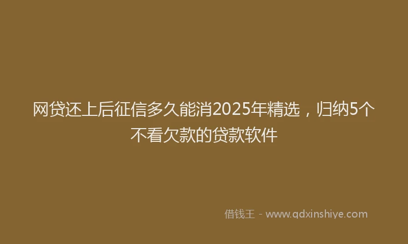 网贷还上后征信多久能消2025年精选，归纳5个不看欠款的贷款软件