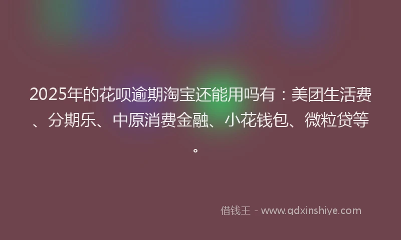 2025年的花呗逾期淘宝还能用吗有：美团生活费、分期乐、中原消费金融、小花钱包、微粒贷等。