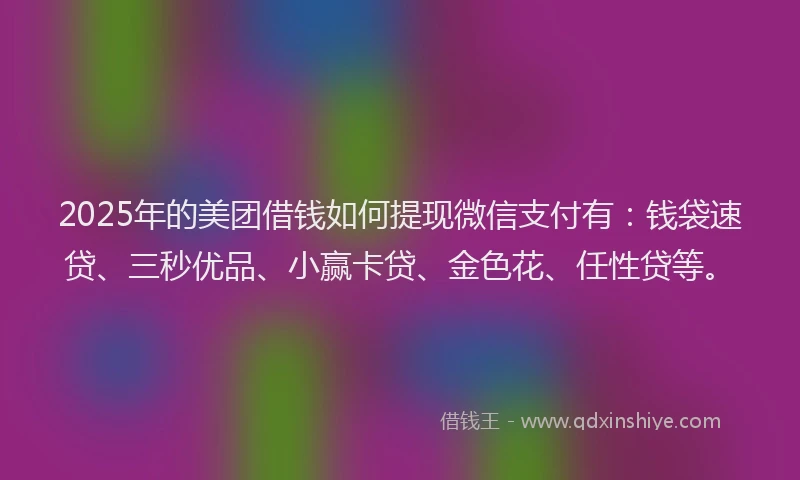 2025年的美团借钱如何提现微信支付有：钱袋速贷、三秒优品、小赢卡贷、金色花、任性贷等。