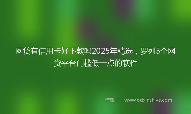 网贷有信用卡好下款吗2025年精选，罗列5个网贷平台门槛低一点的软件