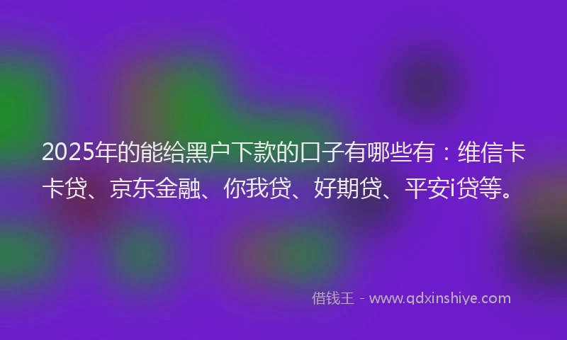 2025年的能给黑户下款的口子有哪些有：维信卡卡贷、京东金融、你我贷、好期贷、平安i贷等。