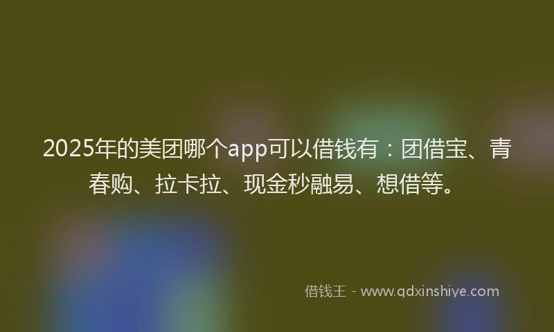 2025年的美团哪个app可以借钱有：团借宝、青春购、拉卡拉、现金秒融易、想借等。