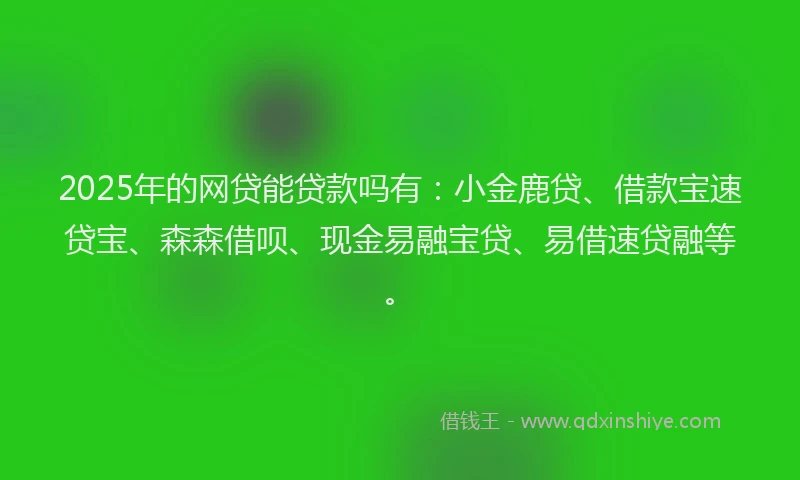 2025年的网贷能贷款吗有：小金鹿贷、借款宝速贷宝、森森借呗、现金易融宝贷、易借速贷融等。