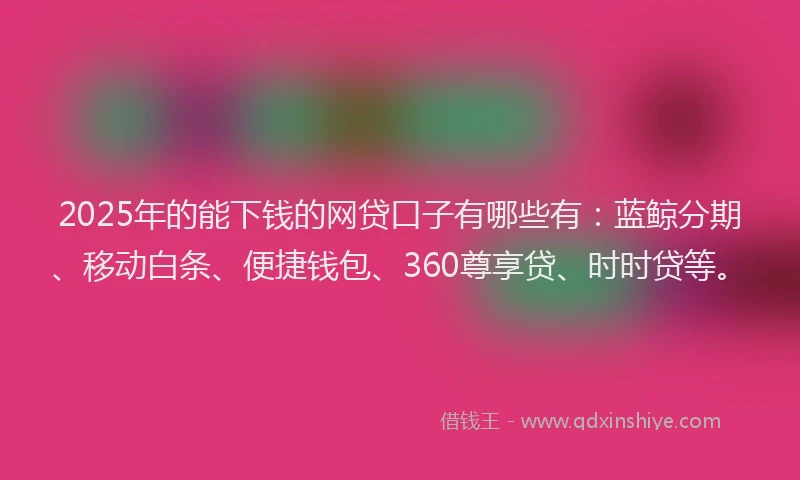 2025年的能下钱的网贷口子有哪些有：蓝鲸分期、移动白条、便捷钱包、360尊享贷、时时贷等。
