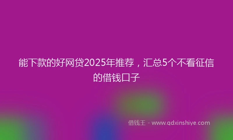 能下款的好网贷2025年推荐，汇总5个不看征信的借钱口子
