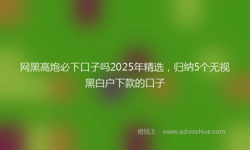 网黑高炮必下口子吗2025年精选，归纳5个无视黑白户下款的口子