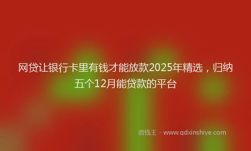 网贷让银行卡里有钱才能放款2025年精选，归纳五个12月能贷款的平台