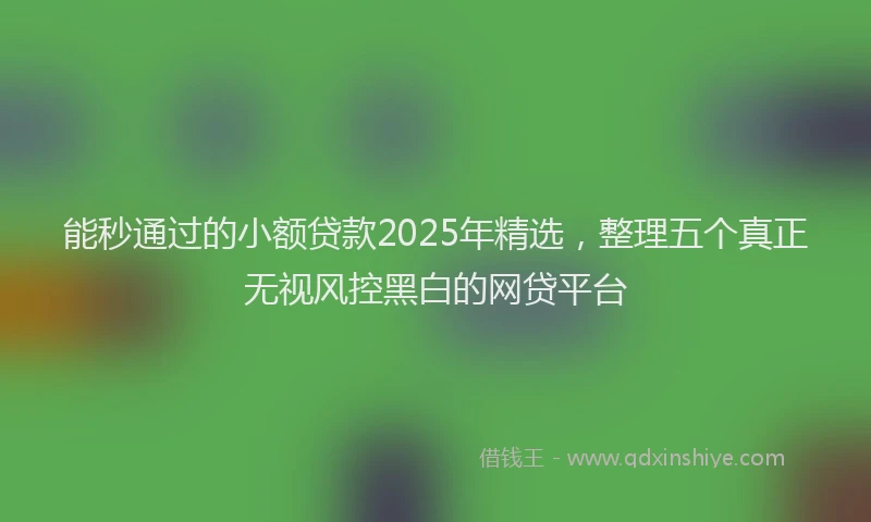 能秒通过的小额贷款2025年精选，整理五个真正无视风控黑白的网贷平台