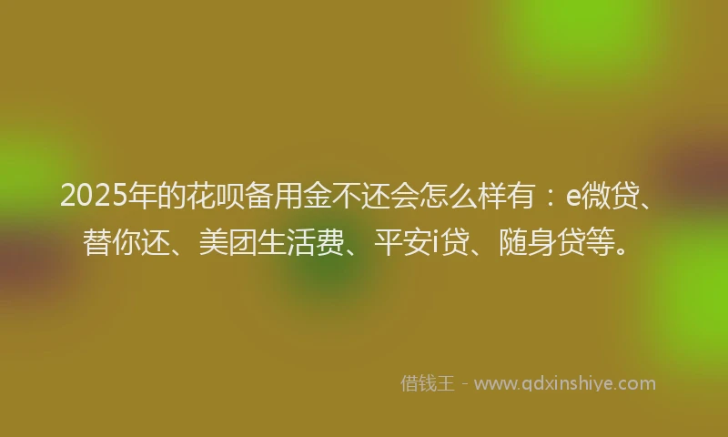 2025年的花呗备用金不还会怎么样有：e微贷、替你还、美团生活费、平安i贷、随身贷等。
