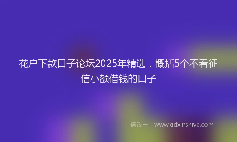 花户下款口子论坛2025年精选，概括5个不看征信小额借钱的口子