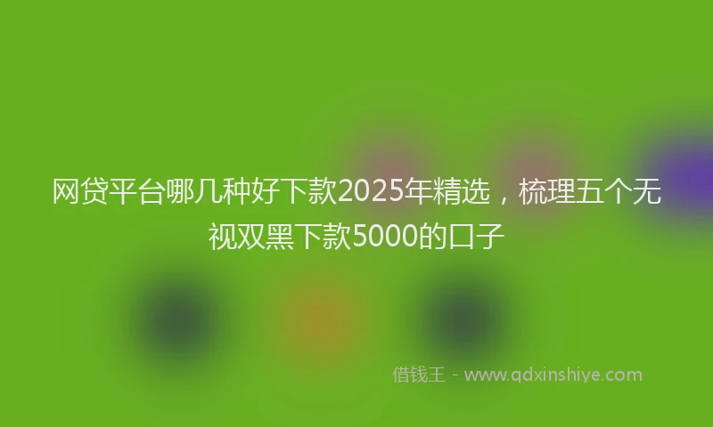 网贷平台哪几种好下款2025年精选，梳理五个无视双黑下款5000的口子