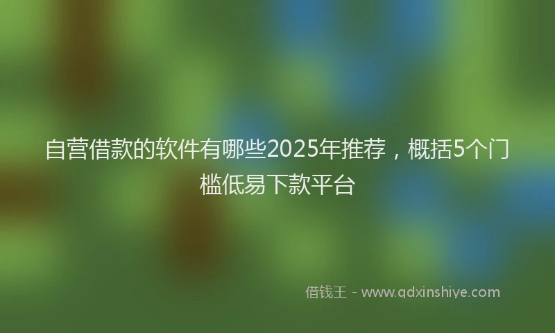 自营借款的软件有哪些2025年推荐，概括5个门槛低易下款平台