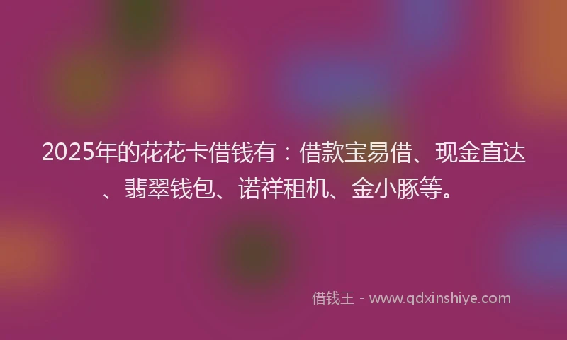 2025年的花花卡借钱有：借款宝易借、现金直达、翡翠钱包、诺祥租机、金小豚等。