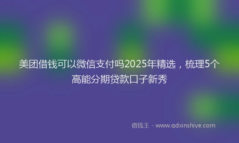 美团借钱可以微信支付吗2025年精选，梳理5个高能分期贷款口子新秀