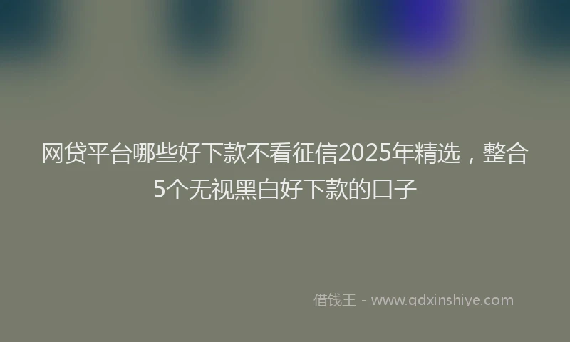 网贷平台哪些好下款不看征信2025年精选，整合5个无视黑白好下款的口子