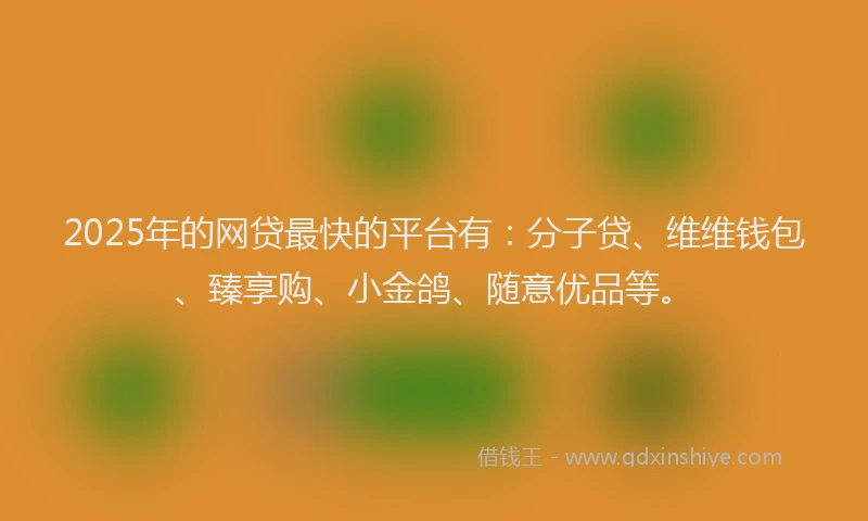 2025年的网贷最快的平台有：分子贷、维维钱包、臻享购、小金鸽、随意优品等。