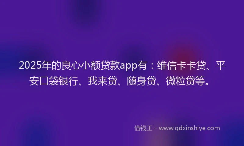 2025年的良心小额贷款app有：维信卡卡贷、平安口袋银行、我来贷、随身贷、微粒贷等。
