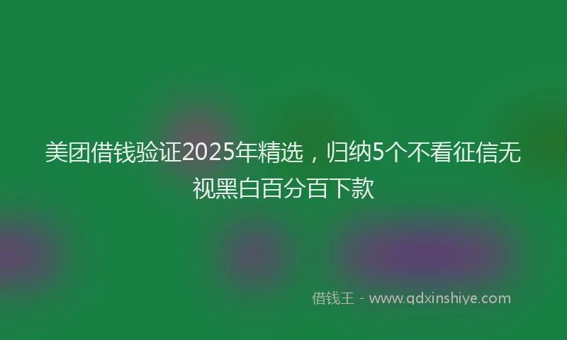 美团借钱验证2025年精选，归纳5个不看征信无视黑白百分百下款