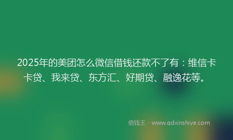 2025年的美团怎么微信借钱还款不了有：维信卡卡贷、我来贷、东方汇、好期贷、融逸花等。