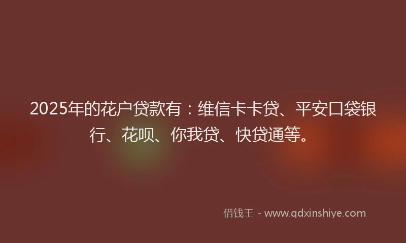 2025年的花户贷款有：维信卡卡贷、平安口袋银行、花呗、你我贷、快贷通等。