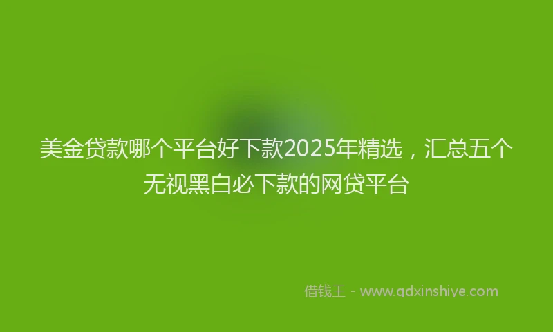 美金贷款哪个平台好下款2025年精选，汇总五个无视黑白必下款的网贷平台