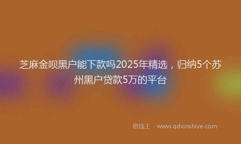 芝麻金呗黑户能下款吗2025年精选，归纳5个苏州黑户贷款5万的平台