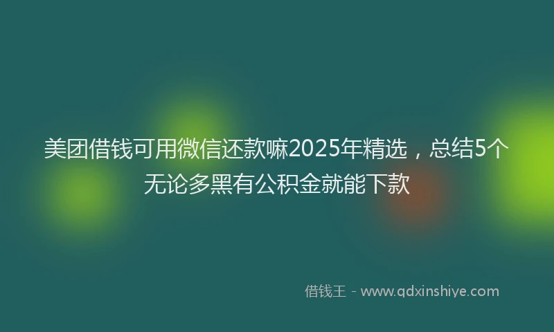 美团借钱可用微信还款嘛2025年精选，总结5个无论多黑有公积金就能下款