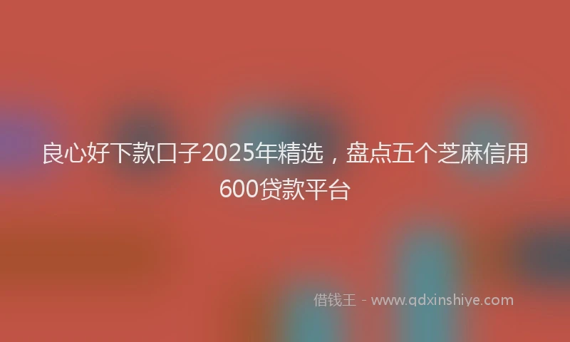 良心好下款口子2025年精选，盘点五个芝麻信用600贷款平台