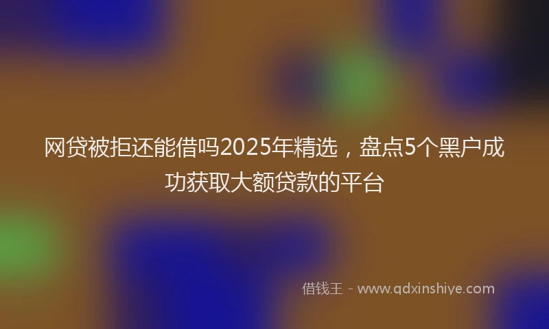 网贷被拒还能借吗2025年精选，盘点5个黑户成功获取大额贷款的平台