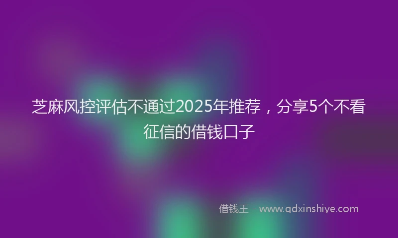 芝麻风控评估不通过2025年推荐，分享5个不看征信的借钱口子