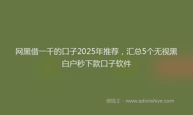 网黑借一千的口子2025年推荐，汇总5个无视黑白户秒下款口子软件