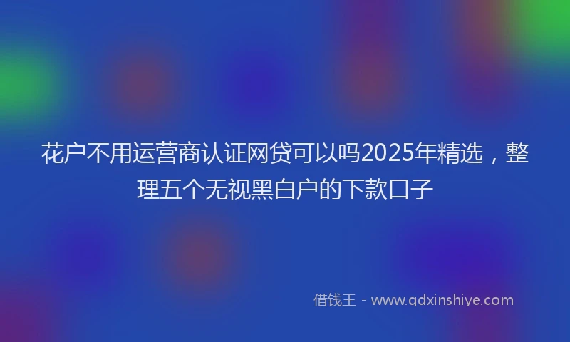 花户不用运营商认证网贷可以吗2025年精选，整理五个无视黑白户的下款口子