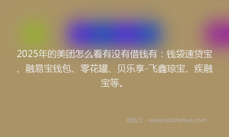 2025年的美团怎么看有没有借钱有：钱袋速贷宝、融易宝钱包、零花罐、贝乐享-飞鑫琼宝、疾融宝等。