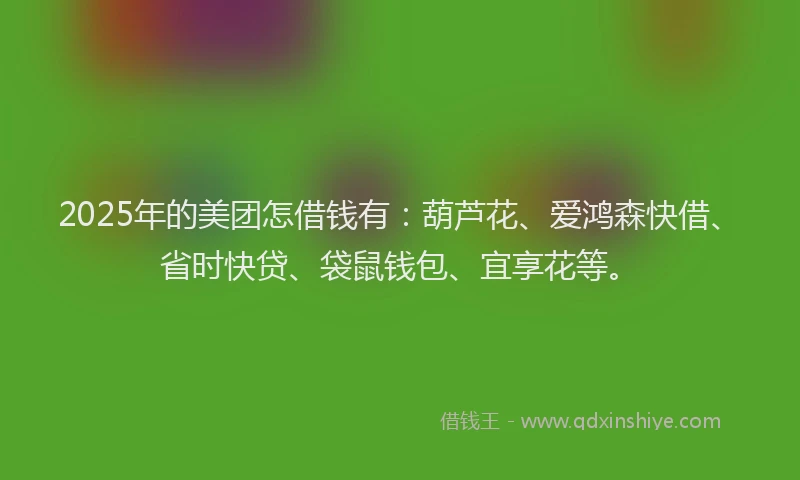 2025年的美团怎借钱有：葫芦花、爱鸿森快借、省时快贷、袋鼠钱包、宜享花等。