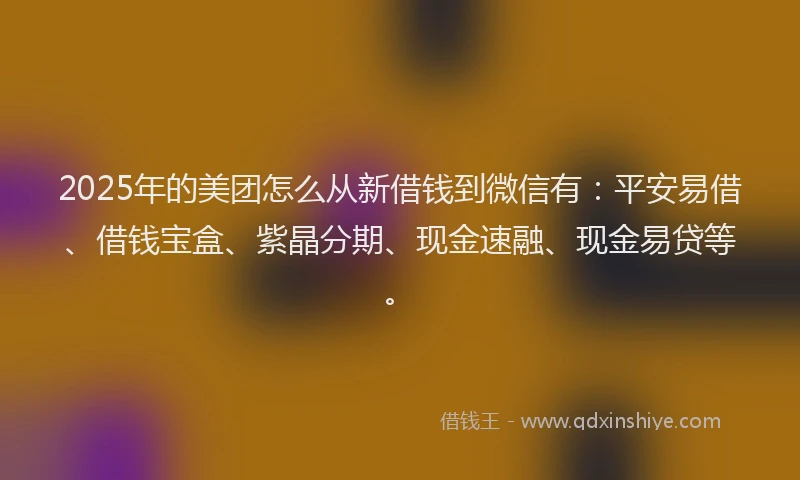 2025年的美团怎么从新借钱到微信有：平安易借、借钱宝盒、紫晶分期、现金速融、现金易贷等。