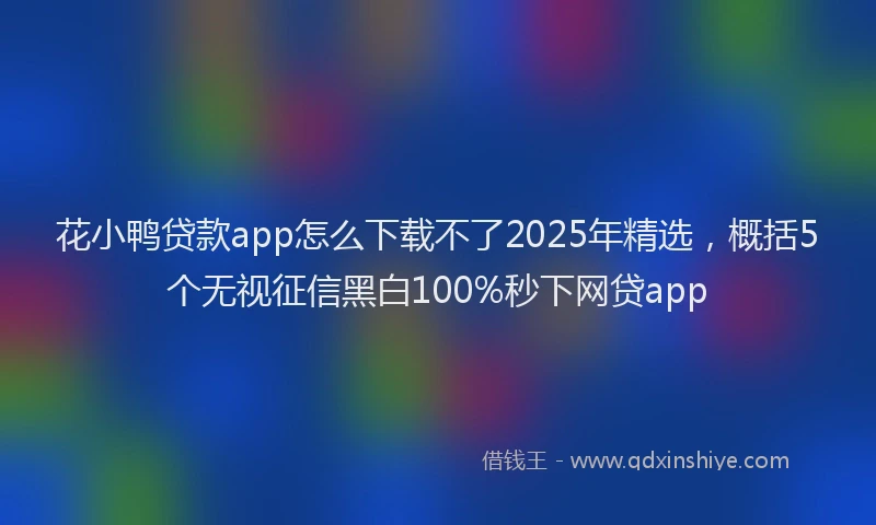 花小鸭贷款app怎么下载不了2025年精选，概括5个无视征信黑白100%秒下网贷app