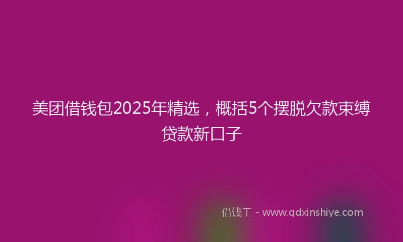 美团借钱包2025年精选，概括5个摆脱欠款束缚贷款新口子
