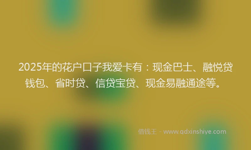 2025年的花户口子我爱卡有：现金巴士、融悦贷钱包、省时贷、信贷宝贷、现金易融通途等。
