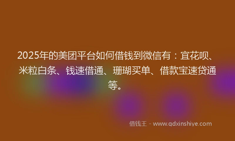 2025年的美团平台如何借钱到微信有：宜花呗、米粒白条、钱速借通、珊瑚买单、借款宝速贷通等。